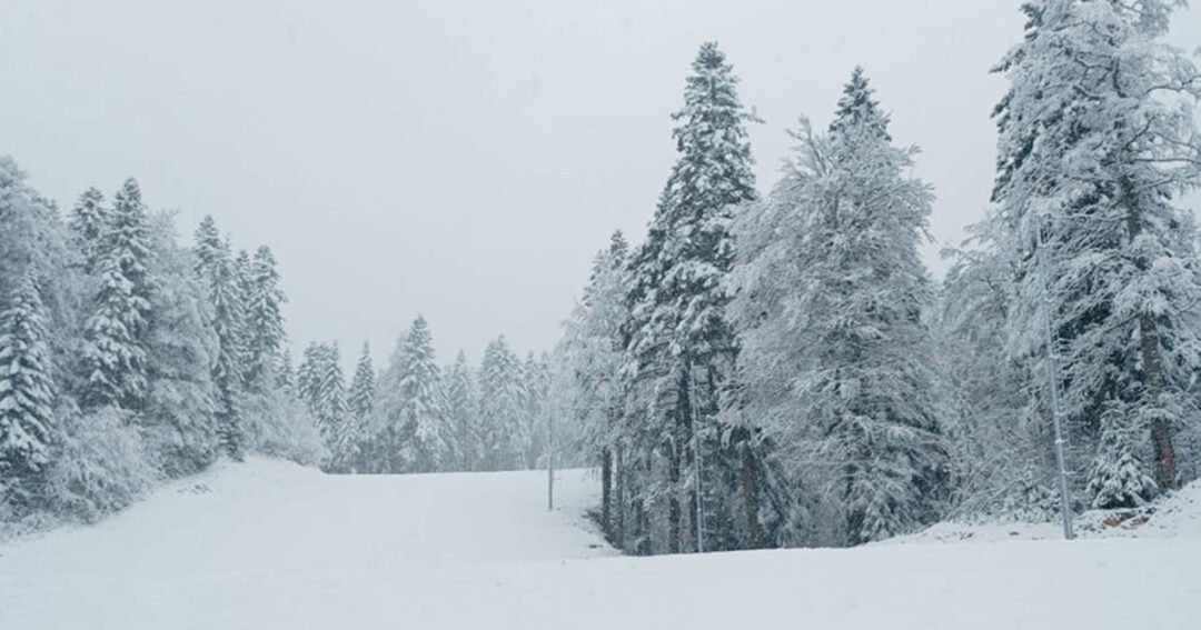 Snijeg na Vlašiću