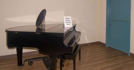 Izložba “Molimo Vas da ne svirate klavir” u sarajevskom BKC-u