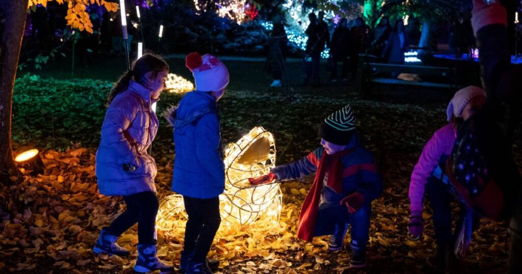 Festival svjetla nudi sasvim drugačije iskustvo posjete muzeju i Botaničkom vrtu