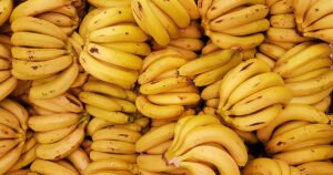 U bh. susjedstvu uništeno 20 tona banana. U njima je pronađen zabranjeni proizvod