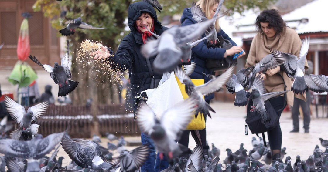 Turisti i građani u igri sa golubovima na sarajevskoj Baščaršiji
