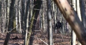 Dramatičan slučaj u BiH: U provaliji pronađen ranjen lovac, jedna osoba uhapšena