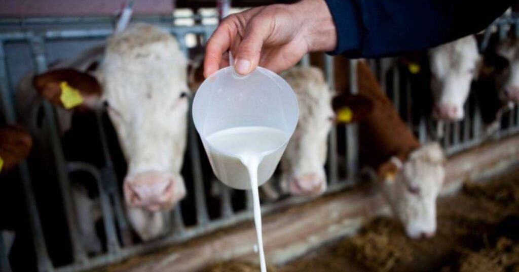 Isplaćene novčane podrške poljoprivrednicima, najviše za mlijeko