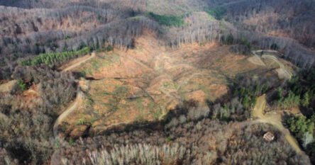 Posjekli 18 hektara šume, teren će iskoristiti za deponiju