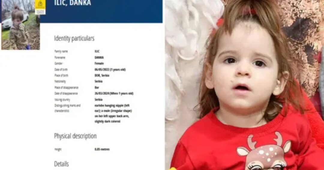 danka ilic interpol potraga