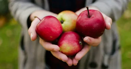 Jabuke snižavaju holesterol