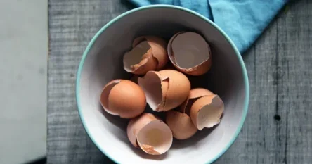 Ljuske od jajeta mogu se iskoristiti kao odlično gnojivo