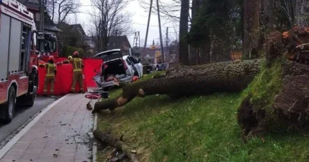 Stablo zdrobilo automobil: Pet mrtvih u udaru vjetra od 155 km/h