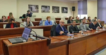 Ukrajinski gradonačelnici u BiH uče o poslijeratnoj obnovi gradova