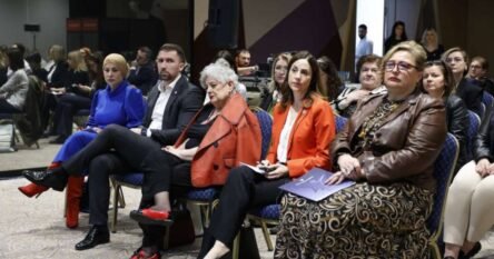 Neplaćeni rad žena u BiH duboko ukorijenjen problem, doprinosi rodnoj nejednakosti
