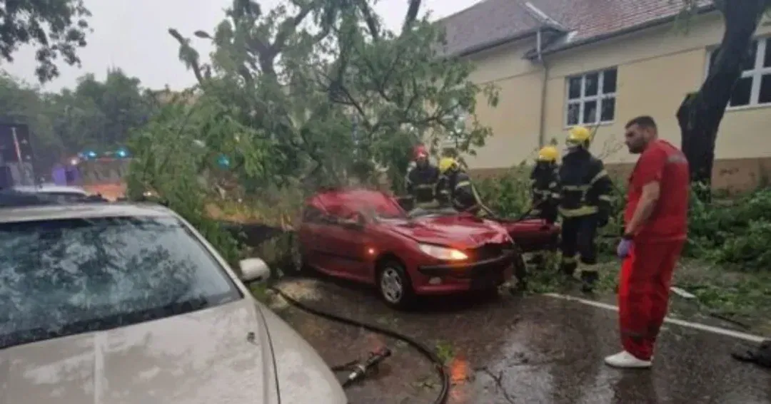 u nevremenu poginula žena