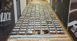 Pronađeno 109 kg kokaina pored smrznutih lignji, trebao je završiti u Hrvatskoj