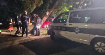 Policajac u Mostaru pendrekom pretukao novinara zbog psa