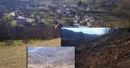 “Clearcutting of Forests”: Naked Criminality in “Šume”