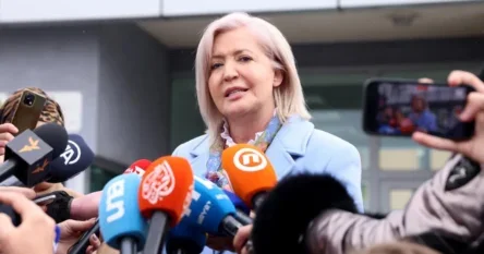 Vasvija Vidović negirala krivicu za sprečavanje dokazivanja