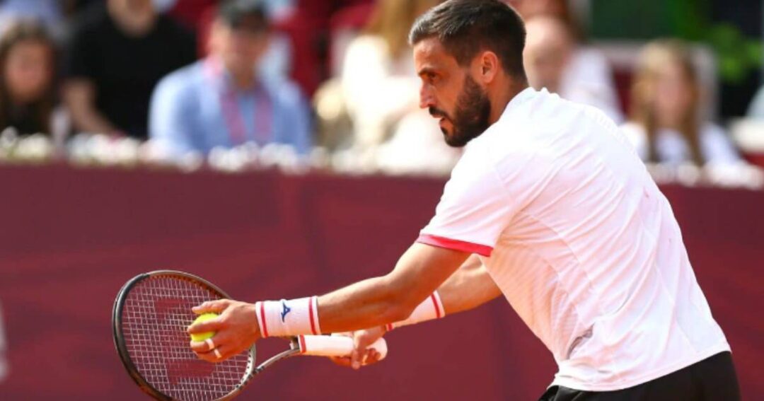 damir dzumhur