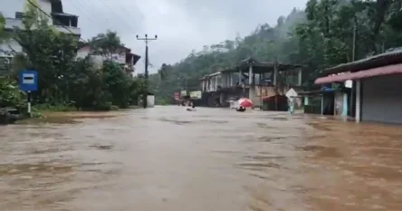 U iznenadnim poplavama poginulo najmanje 14 ljudi. Na neke pala stabla i ubila ih