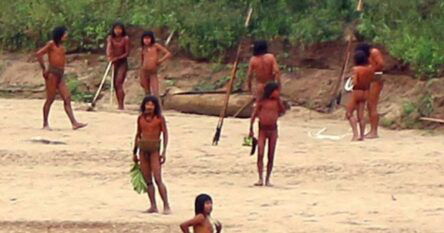Rijetko viđeno amazonsko pleme izašlo iz prašume: “Bježe od drvosječa”