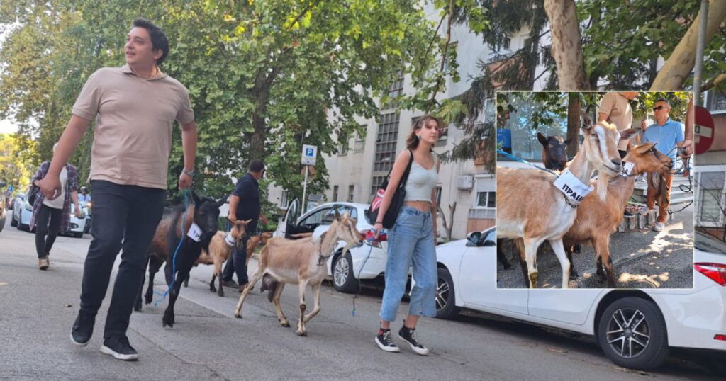 Doveli koze da napoje ispred Vodovoda: Performans Restart Srpska privukao pažnju građana i medija
