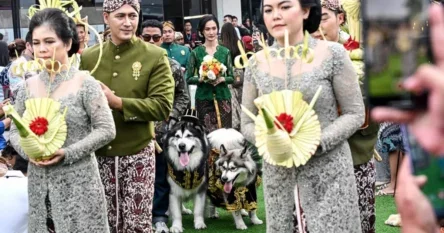 Nakon što je propala vladina politika s mladila: U Kini sve više “psećih vjenčanja”