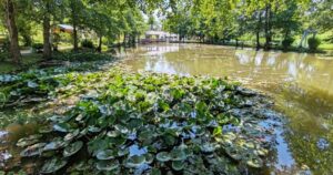 Bračni par Mujanović izgradio “ranč za odmor i dušu” s atraktivnim turističkim sadržajima