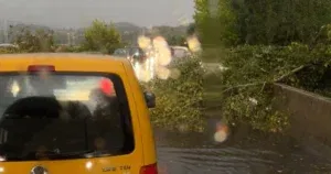 Jako nevrijeme zahvatilo Doboj, vjetar obarao stabla na cestu