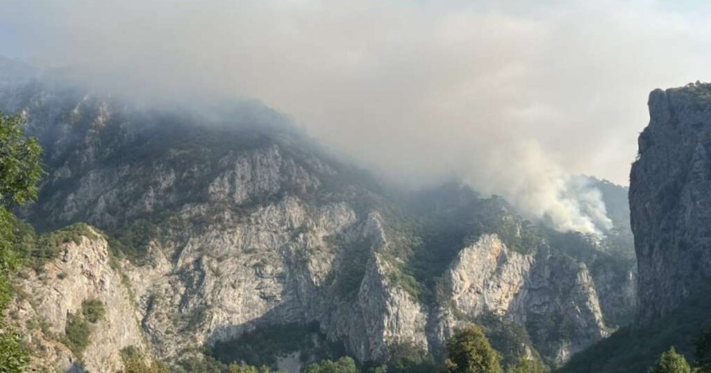 Čančar: Požar u NP Sutjeska pod kontrolom