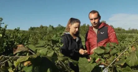 Ena se vratila iz Njemačke i pokrenula biznis: “Fizički je naporno, ali ja to volim”