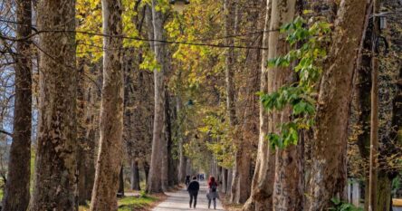 Miholjsko ljeto i danas: Temperatura do 24 stepena