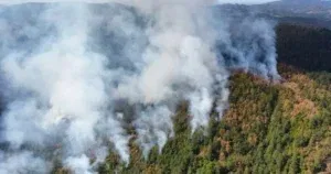 Stanje na požarištu na Bjelašnici pogoršano, zatražen angažman helikoptera OSBiH