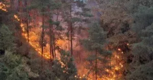 Helikopteri ponovo kreću u pravcu Maglaja, gasit će požar prema Novom Šeheru