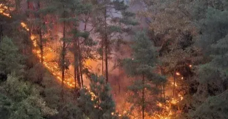 Helikopteri ponovo kreću u pravcu Maglaja, gasit će požar prema Novom Šeheru