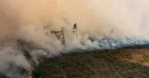 U Brazilu ove godine dosad izgorjelo područje veće od Bjelorusije