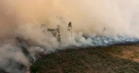 U Brazilu ove godine dosad izgorjelo područje veće od Bjelorusije