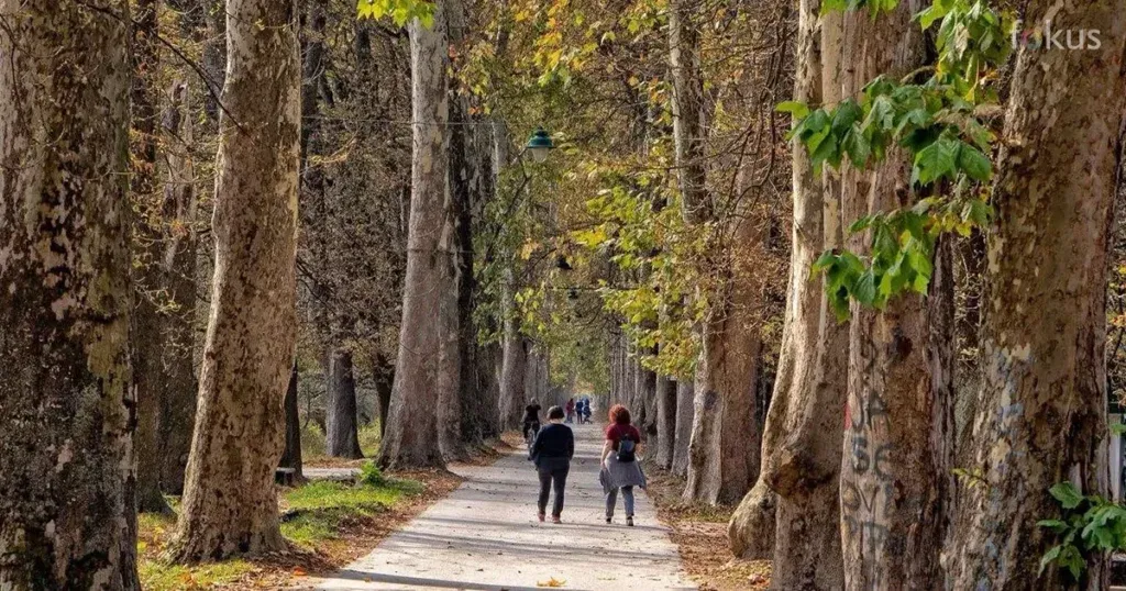 Pred nama sunčani i topliji dani: Do kada će potrajati Miholjsko ljeto?