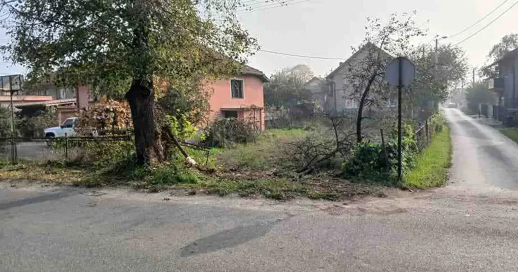 Vozač Passata sletio s ceste, udario u drvo i poginuo. Sumnja se da mu je pozlilo