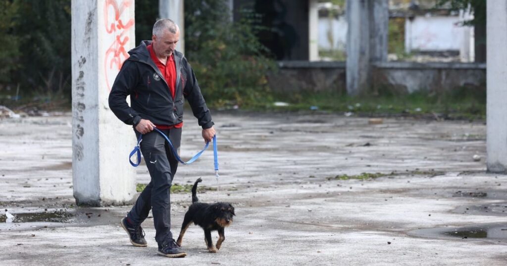 Potražni psi: Ela, Đurđa, Atos i Ćapi u svakoj nesreći mogu pomoći ljudima