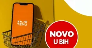 Ovih pet stvari morate znati ako naručujete s Temua