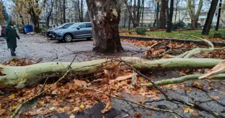 Nevrijeme u BiH: Vjetar obarao stabla, blokirane ceste. Snijeg stvara probleme vozačima