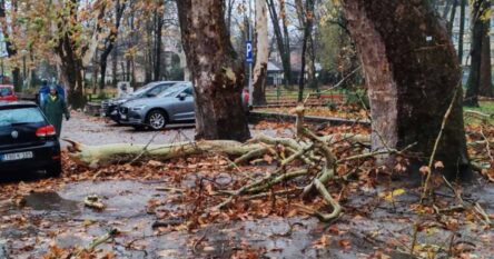 Olujno nevrijeme širom BiH: Vjetar u Bihaću čupao stabla i oštetio saobraćajne znakove