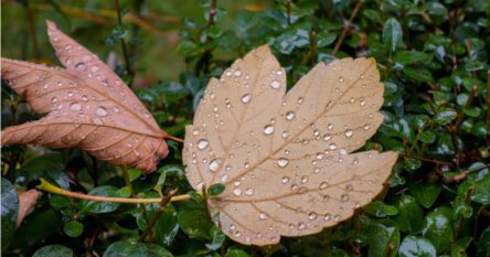 Meteorolozi otkrili: Ovako vrijeme do 17. novembra, a onda dolazi preokret