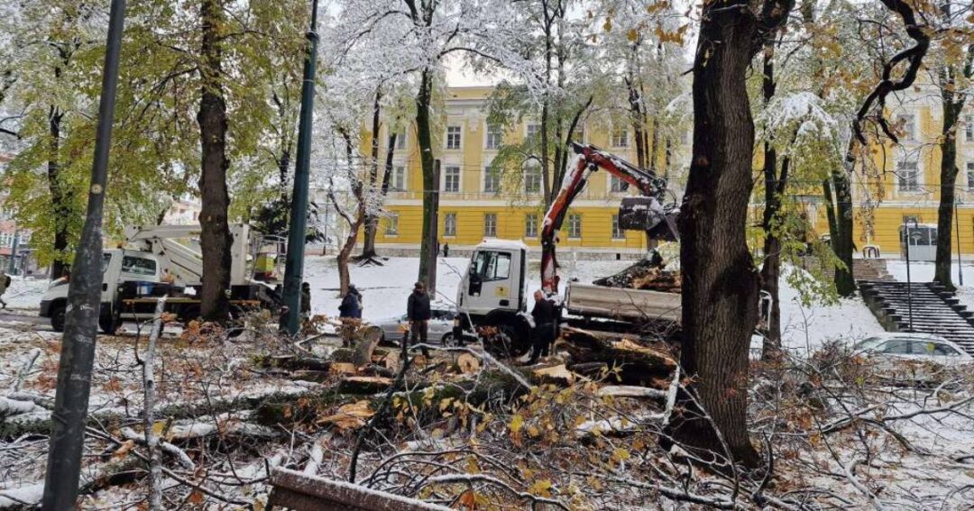 kjkp park polomljene grane snijeg sarajevo