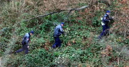 Maloljetnik pozvao druga da se pomire, pa ga izbo nožem i prekrio lišćem?