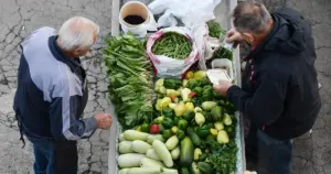 Kako zeleno lisnato povrće djeluje na lijekove za sprečavanje krvnih ugrušaka?