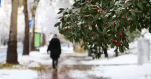 Meteorolozi objavili u kojim dijelovima BiH se danas očekuje snijeg