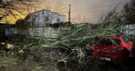 Snažan olujni vjetar oborio 164 stabla, među povrijeđenim i 16-godišnja djevojčica