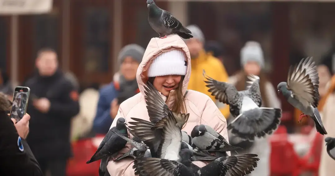 golubovi sarajevo turisti vrijem