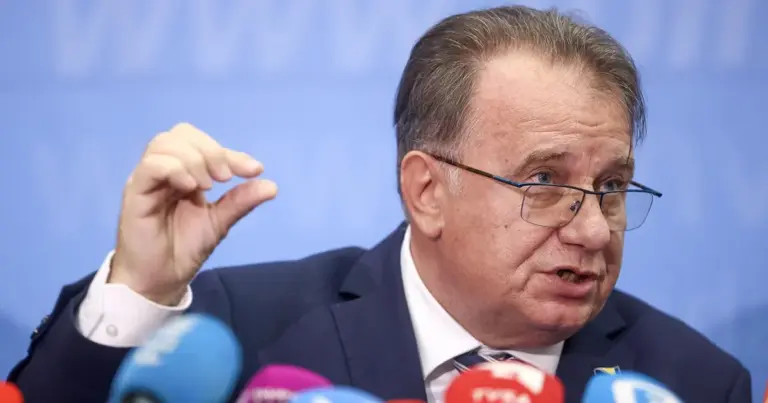 Nermin Nikšić