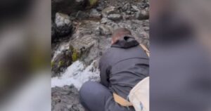 Turista se napio vode s izvora, nakon toga ugledao nešto što će ga dugo proganjati